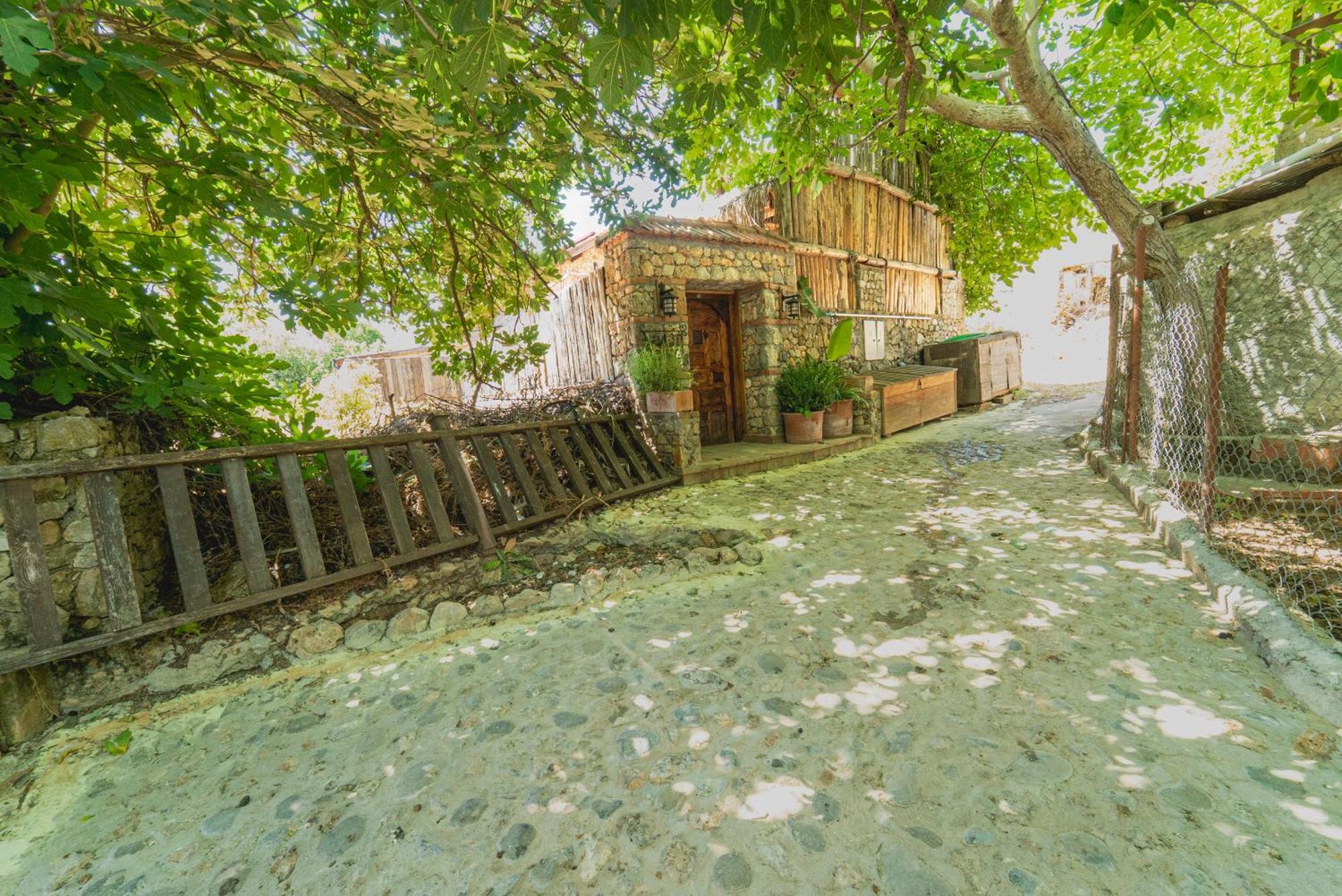 Levissi Lodge Otantic Stone Villa In 카야코이 외부 사진